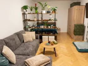 Prodej bytu 1+1, Olomouc - Nová Ulice, Pionýrská, 45 m2