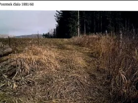 Prodej lesa, Kamenice nad Lipou, 5521 m2