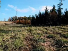 Prodej lesa, Vladislav, 8722 m2