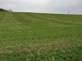 Dražba pole, Horní Cerekev, 18662 m2