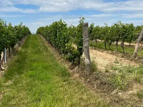 Prodej podílu pozemku, Vracov, 152 m2