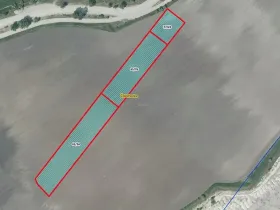 Prodej pole, Čížkovice, 7982 m2