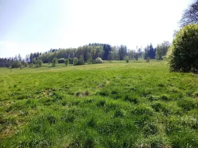 Prodej pole, Semily, 28783 m2