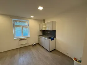 Pronájem bytu 1+kk, Praha - Vršovice, Holandská, 20 m2