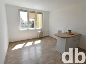 Pronájem bytu 1+kk, Chodov, Čapkova, 26 m2