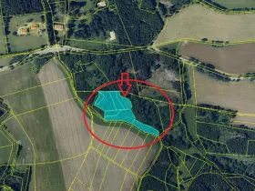 Prodej lesa, Líšná, 10490 m2