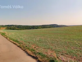 Prodej pole, Diváky, 4049 m2