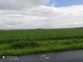 Prodej pozemku pro bydlení, Dolní Ředice, 12434 m2