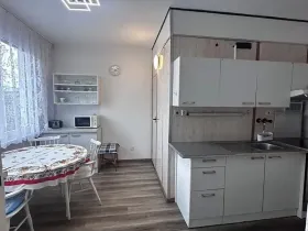 Pronájem bytu 1+1, Strakonice, Bezděkovská, 40 m2