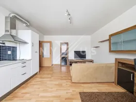 Pronájem bytu 2+kk, Břežany II, 47 m2