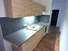 Pronájem bytu 2+1, Ústí nad Labem, Gagarinova, 64 m2