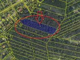 Prodej lesa, Lštění, 7603 m2