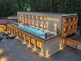 Prodej rodinného domu, Doksy, Pod Borným, 1700 m2