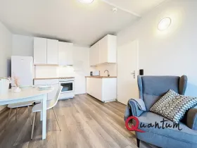Pronájem bytu 1+kk, Praha - Střížkov, Děčínská, 32 m2