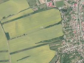 Prodej pole, Jalubí, 3737 m2