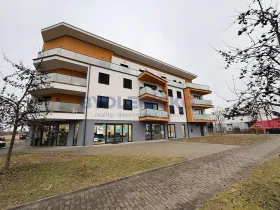 Pronájem bytu 3+kk, České Budějovice, Rožnovská, 61 m2