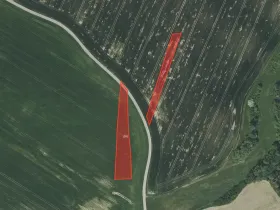 Prodej pole, Radošovice, 2863 m2