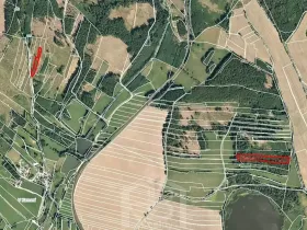 Prodej lesa, Jihlávka, 10463 m2