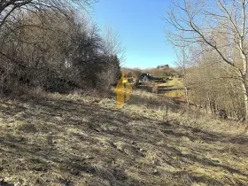 Prodej zahrady, Hostinné, 1147 m2