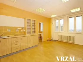 Pronájem ordinace, Plzeň, Francouzská třída, 80 m2