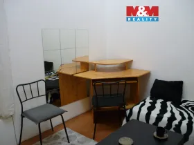 Pronájem bytu 1+kk, Praha - Vinohrady, Mánesova, 16 m2