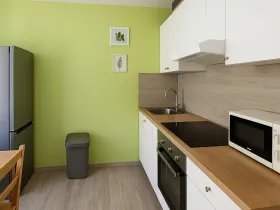 Prodej bytu 1+1, Chomutov, Kyjická, 33 m2