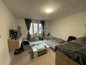 Prodej bytu 2+1, Trhové Sviny, Branka, 51 m2