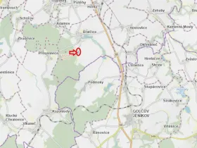 Prodej lesa, Bratčice, 5000 m2