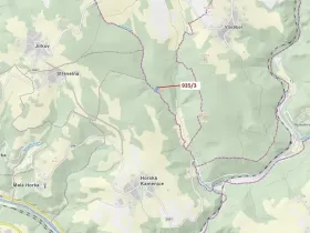 Dražba lesa, Jílové u Držkova, 2349 m2