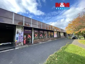 Pronájem obchodního prostoru, Most, Lipová, 1000 m2