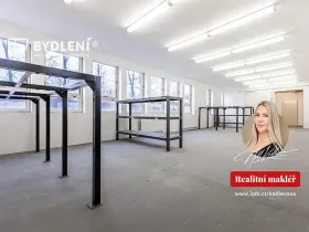 Pronájem kanceláře, Teplice, Tolstého, 218 m2