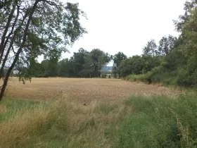 Prodej zahrady, Heřmanova Huť - Vlkýš, 1100 m2