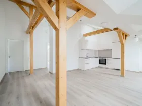 Pronájem bytu 3+kk, Praha - Nové Město, Václavské náměstí, 98 m2