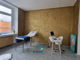 Pronájem ordinace, Teplice, Plynárenská, 90 m2