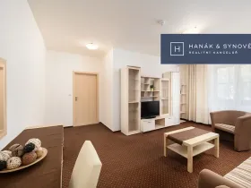 Pronájem bytu 2+1, Brno, Anenská, 49 m2