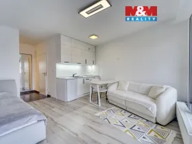 Prodej bytu 1+kk, Plzeň - Východní Předměstí, Slovanská, 39 m2