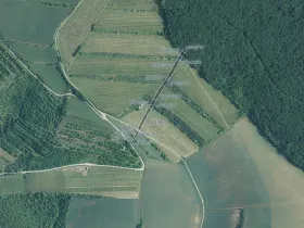 Prodej sadu/vinice, Boleradice, 3042 m2