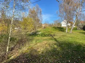 Prodej pozemku pro bydlení, Chanovice, 3800 m2