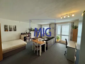 Pronájem bytu 1+kk, Brno, Tomečkova, 44 m2