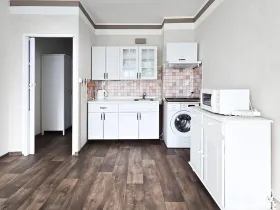 Pronájem bytu 1+kk, Děčín, Žerotínova, 27 m2