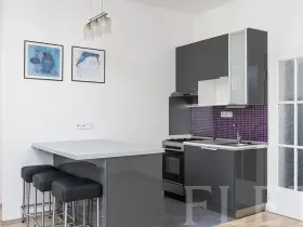 Prodej bytu 1+kk, Praha - Žižkov, Biskupcova, 28 m2