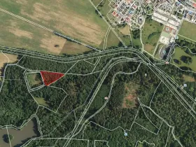 Prodej lesa, Františkovy Lázně, Jezerní, 2956 m2
