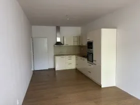 Pronájem bytu 2+kk, Brno, Cejl, 61 m2