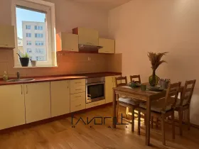 Pronájem bytu 1+1, Ostrava, Korunní, 53 m2