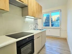 Pronájem bytu 1+1, Ostrava, Proskovická, 40 m2