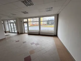 Pronájem obchodního prostoru, Jeseník, nám. Svobody, 232 m2