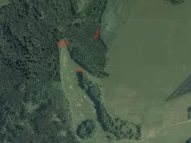 Prodej pole, Ostrov u Macochy, 5747 m2