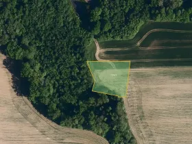 Prodej pole, Černotín, 2262 m2