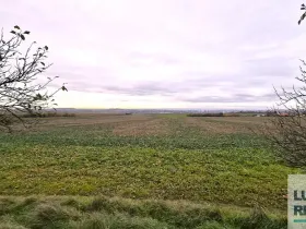 Prodej pole, Mělník, Kokořínská, 27040 m2