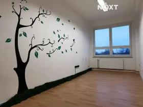 Pronájem kanceláře, České Budějovice, K. Světlé, 17 m2